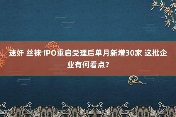 迷奸 丝袜 IPO重启受理后单月新增30家 这批企业有何看点？