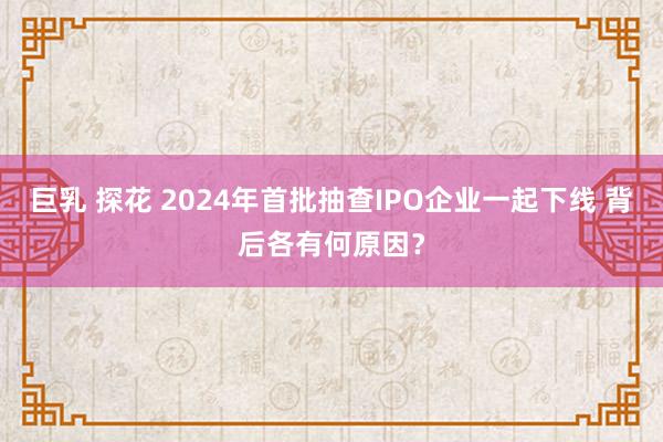 巨乳 探花 2024年首批抽查IPO企业一起下线 背后各有何原因？