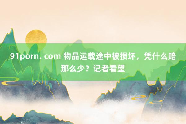 91porn. com 物品运载途中被损坏，凭什么赔那么少？记者看望