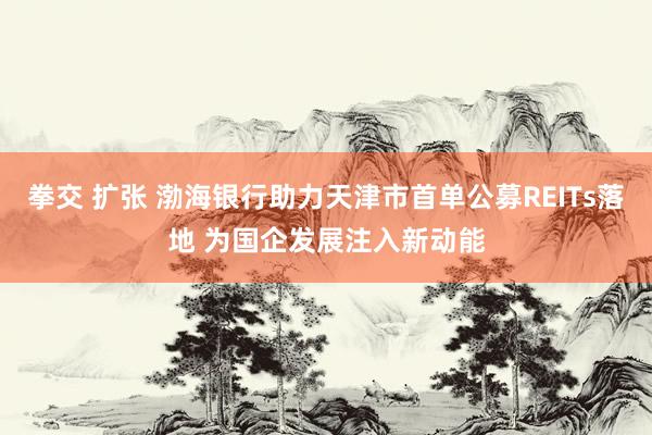 拳交 扩张 渤海银行助力天津市首单公募REITs落地 为国企发展注入新动能