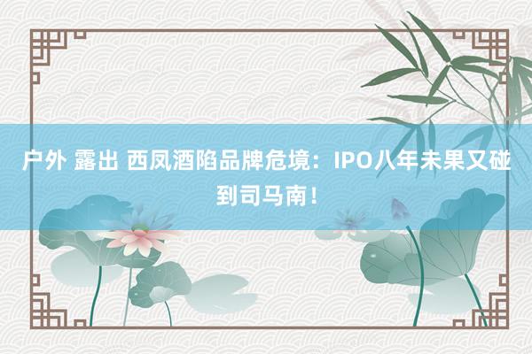 户外 露出 西凤酒陷品牌危境：IPO八年未果又碰到司马南！