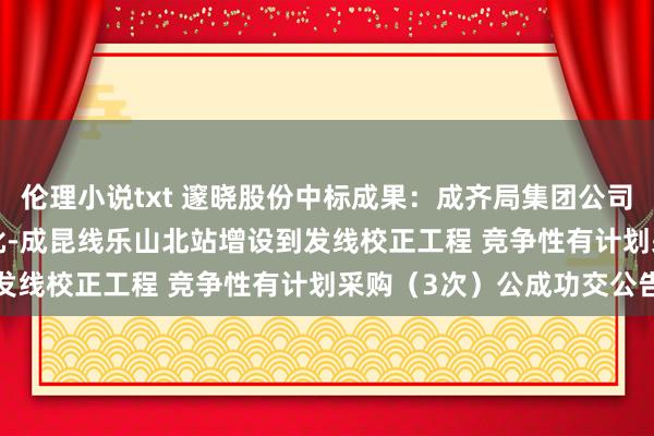 伦理小说txt 邃晓股份中标成果：成齐局集团公司 2024年供电系统第三批-成昆线乐山北站增设到发线校正工程 竞争性有计划采购（3次）公成功交公告