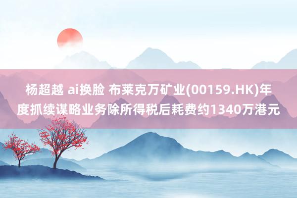 杨超越 ai换脸 布莱克万矿业(00159.HK)年度抓续谋略业务除所得税后耗费约1340万港元