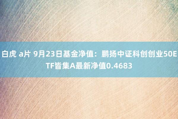 白虎 a片 9月23日基金净值：鹏扬中证科创创业50ETF皆集A最新净值0.4683