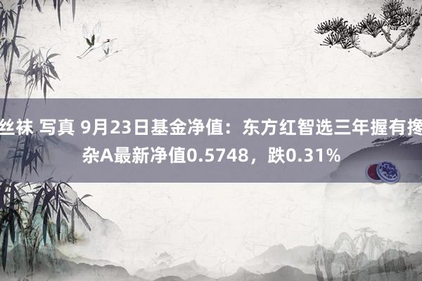 丝袜 写真 9月23日基金净值：东方红智选三年握有搀杂A最新净值0.5748，跌0.31%