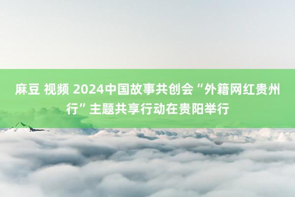 麻豆 视频 2024中国故事共创会“外籍网红贵州行”主题共享行动在贵阳举行