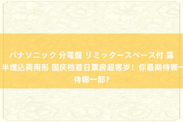 パナソニック 分電盤 リミッタースペース付 露出・半埋込両用形 国庆档首日票房超客岁！你最期待哪一部？