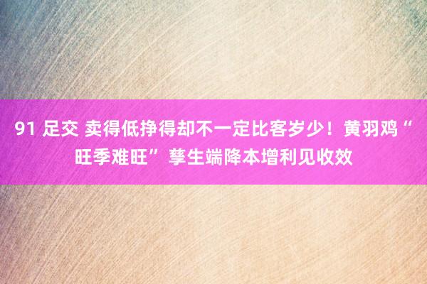 91 足交 卖得低挣得却不一定比客岁少！黄羽鸡“旺季难旺” 孳生端降本增利见收效