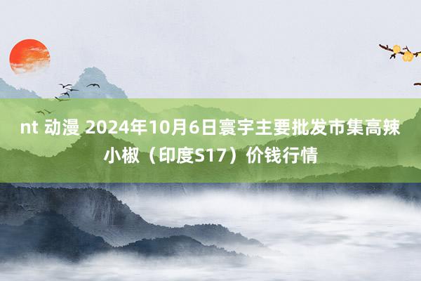 nt 动漫 2024年10月6日寰宇主要批发市集高辣小椒（印度S17）价钱行情