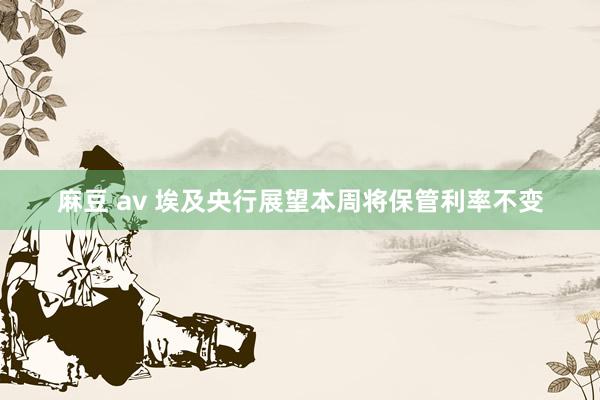 麻豆 av 埃及央行展望本周将保管利率不变