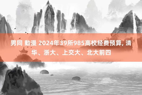 男同 動漫 2024年39所985高校经费预算， 清华、浙大、上交大、北大前四