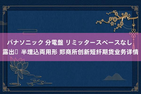 パナソニック 分電盤 リミッタースペースなし 露出・半埋込両用形 郑商所创新短纤期货业务详情