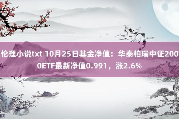 伦理小说txt 10月25日基金净值：华泰柏瑞中证2000ETF最新净值0.991，涨2.6%