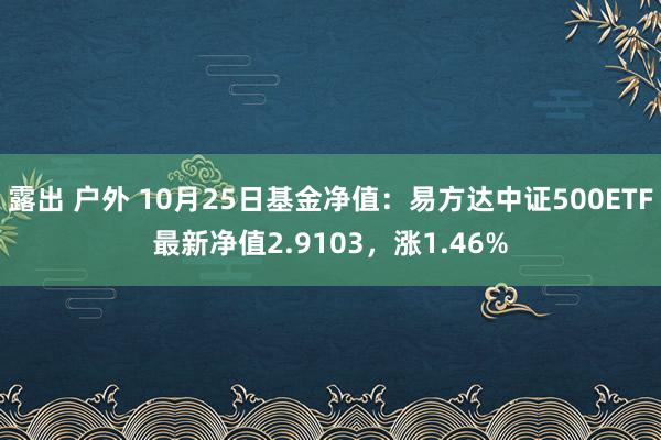 露出 户外 10月25日基金净值：易方达中证500ETF最新净值2.9103，涨1.46%