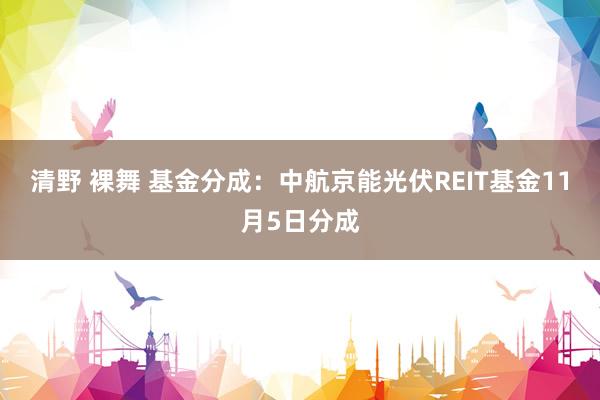 清野 裸舞 基金分成：中航京能光伏REIT基金11月5日分成