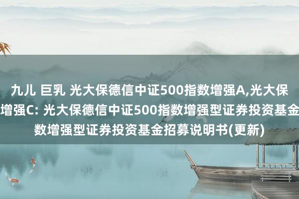 九儿 巨乳 光大保德信中证500指数增强A，光大保德信中证500指数增强C: 光大保德信中证500指数增强型证券投资基金招募说明书(更新)