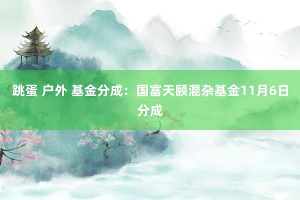 跳蛋 户外 基金分成：国富天颐混杂基金11月6日分成