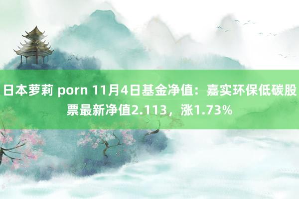 日本萝莉 porn 11月4日基金净值：嘉实环保低碳股票最新净值2.113，涨1.73%