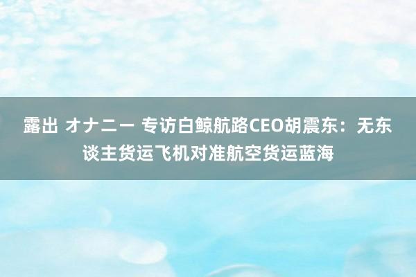 露出 オナニー 专访白鲸航路CEO胡震东：无东谈主货运飞机对准航空货运蓝海