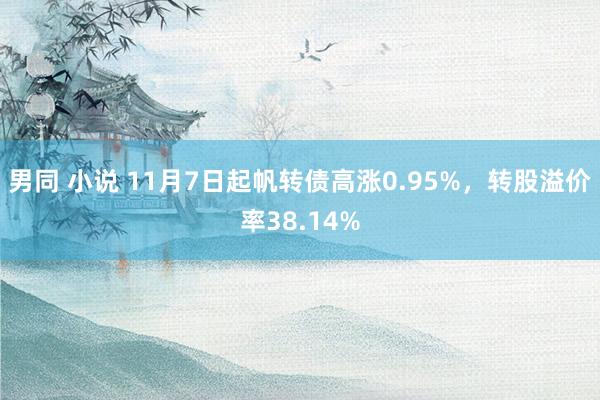 男同 小说 11月7日起帆转债高涨0.95%，转股溢价率38.14%