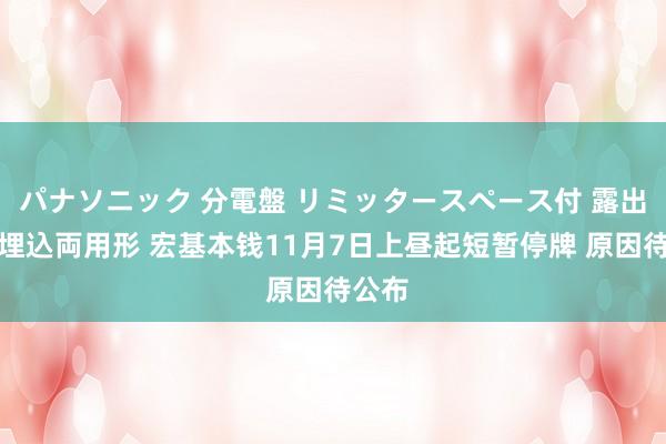 パナソニック 分電盤 リミッタースペース付 露出・半埋込両用形 宏基本钱11月7日上昼起短暂停牌 原因待公布