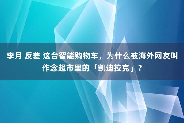 李月 反差 这台智能购物车，为什么被海外网友叫作念超市里的「凯迪拉克」？