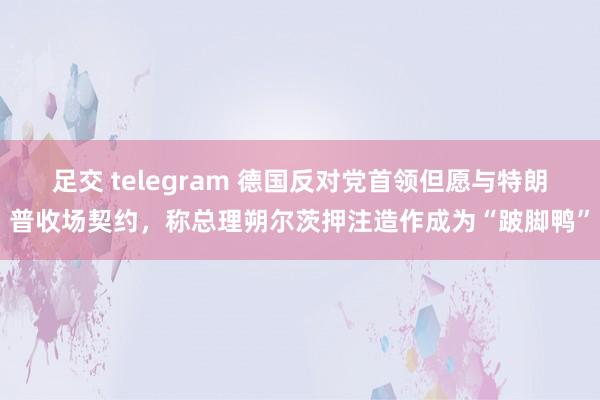 足交 telegram 德国反对党首领但愿与特朗普收场契约，称总理朔尔茨押注造作成为“跛脚鸭”