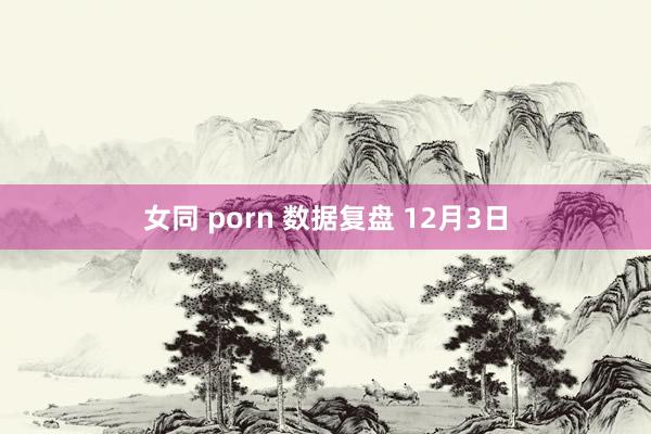 女同 porn 数据复盘 12月3日