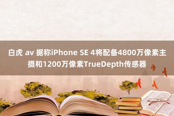 白虎 av 据称iPhone SE 4将配备4800万像素主摄和1200万像素TrueDepth传感器