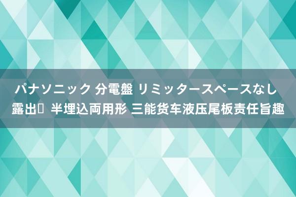 パナソニック 分電盤 リミッタースペースなし 露出・半埋込両用形 三能货车液压尾板责任旨趣