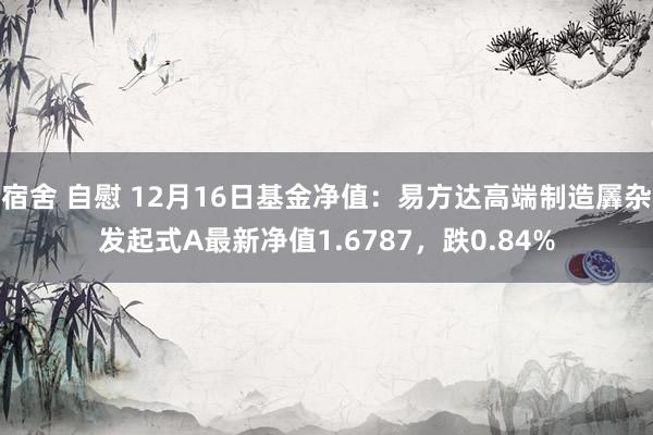 宿舍 自慰 12月16日基金净值：易方达高端制造羼杂发起式A最新净值1.6787，跌0.84%