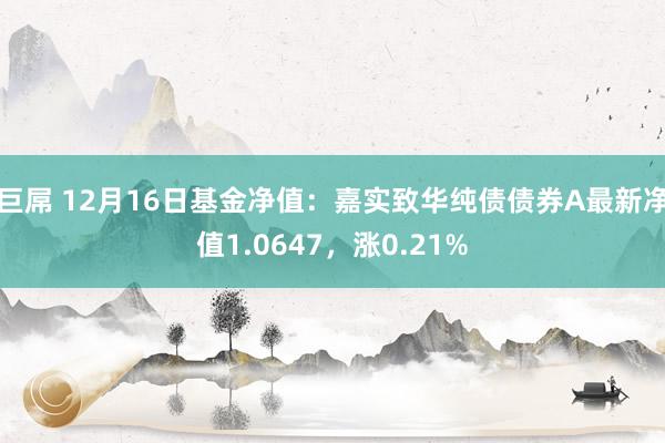 巨屌 12月16日基金净值：嘉实致华纯债债券A最新净值1.0647，涨0.21%