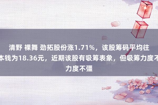 清野 裸舞 劲拓股份涨1.71%，该股筹码平均往还本钱为18.36元，近期该股有吸筹表象，但吸筹力度不彊