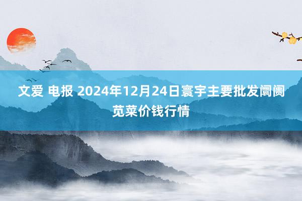 文爱 电报 2024年12月24日寰宇主要批发阛阓苋菜价钱行情