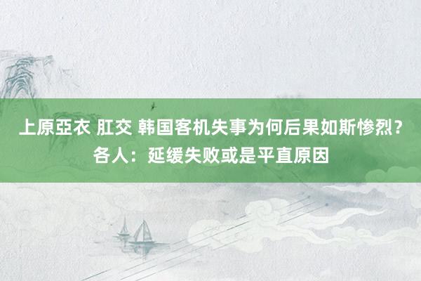 上原亞衣 肛交 韩国客机失事为何后果如斯惨烈？各人：延缓失败或是平直原因