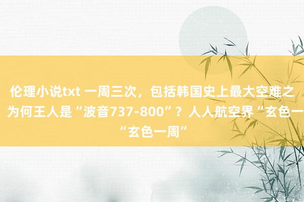 伦理小说txt 一周三次，包括韩国史上最大空难之一！为何王人是“波音737-800”？人人航空界“玄色一周”