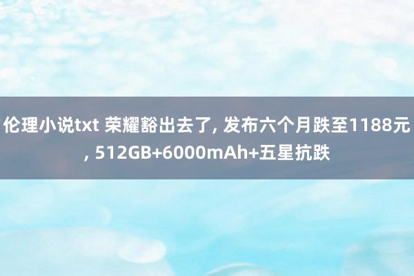 伦理小说txt 荣耀豁出去了， 发布六个月跌至1188元， 512GB+6000mAh+五星抗跌