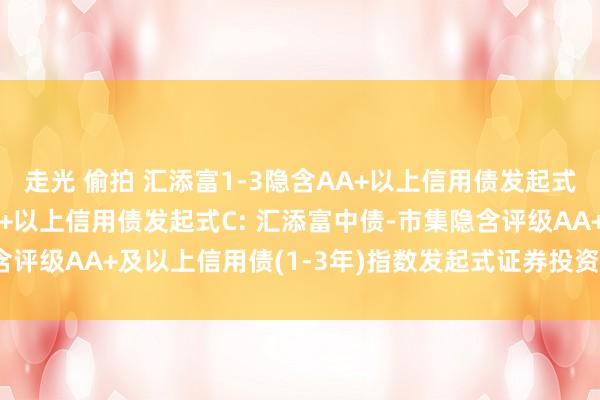 走光 偷拍 汇添富1-3隐含AA+以上信用债发起式A，汇添富1-3隐含AA+以上信用债发起式C: 汇添富中债-市集隐含评级AA+及以上信用债(1-3年)指数发起式证券投资基金收益分拨公告