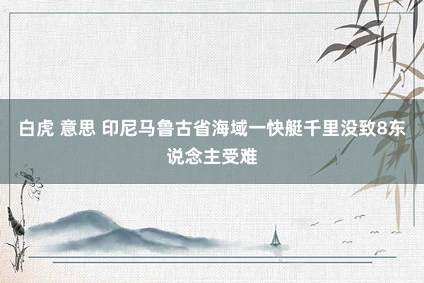 白虎 意思 印尼马鲁古省海域一快艇千里没致8东说念主受难