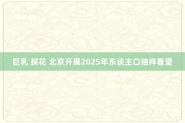 巨乳 探花 北京开展2025年东谈主口抽样看望