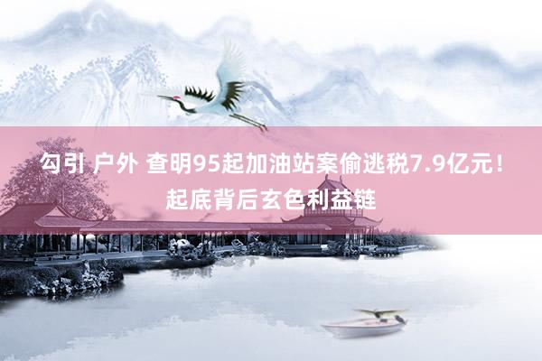 勾引 户外 查明95起加油站案偷逃税7.9亿元！起底背后玄色利益链