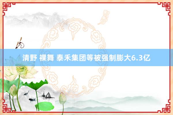 清野 裸舞 泰禾集团等被强制膨大6.3亿