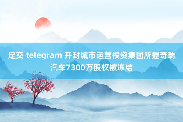 足交 telegram 开封城市运营投资集团所握奇瑞汽车7300万股权被冻结