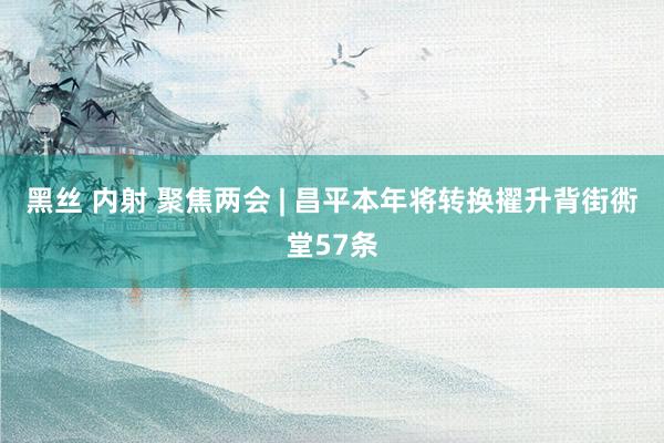 黑丝 内射 聚焦两会 | 昌平本年将转换擢升背街衖堂57条