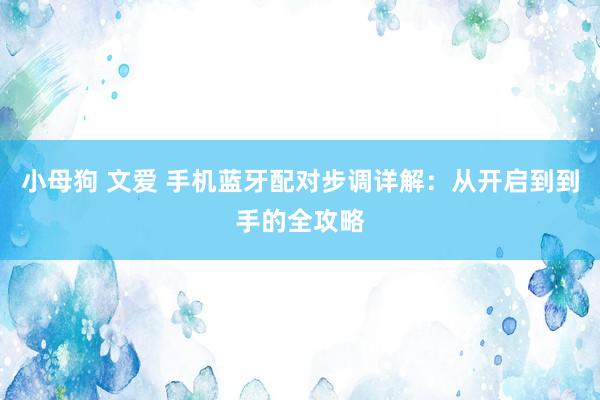 小母狗 文爱 手机蓝牙配对步调详解：从开启到到手的全攻略