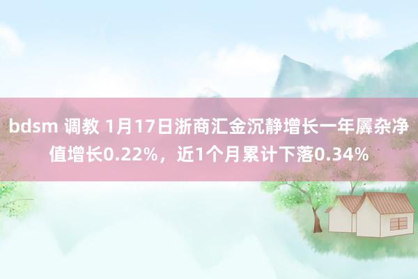 bdsm 调教 1月17日浙商汇金沉静增长一年羼杂净值增长0.22%，近1个月累计下落0.34%