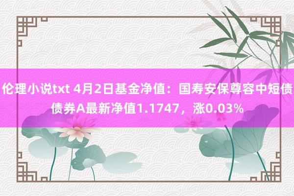 伦理小说txt 4月2日基金净值：国寿安保尊容中短债债券A最新净值1.1747，涨0.03%