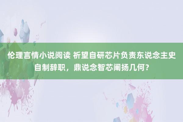 伦理言情小说阅读 祈望自研芯片负责东说念主史自制辞职，鼎说念智芯阐扬几何？